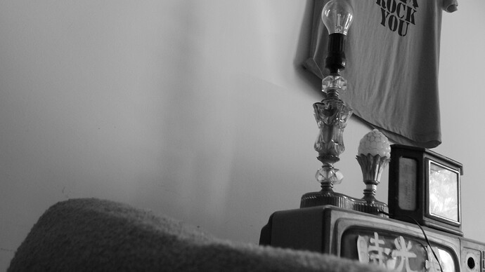 P1320529.JPG