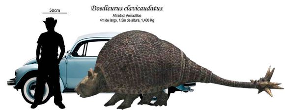 _fc7d073b5bb5c9ea1e1249ead739b6003bf3b338.jpg