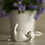 Lievre
